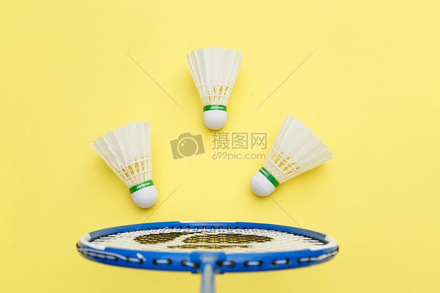 羽毛球运动 羽毛球运动